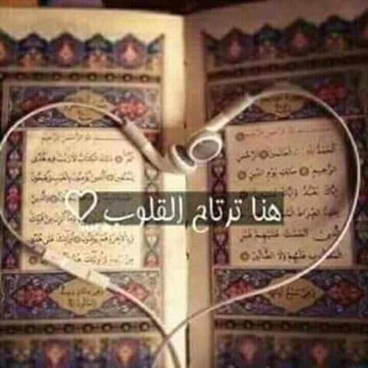 هنا ترتاح القلوب