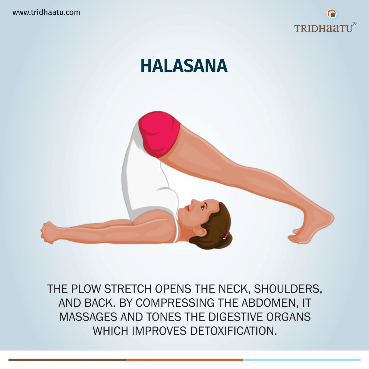 Plow Pose (Halasana): How to Perform, Benefits and Precautions - Fitsri Yoga