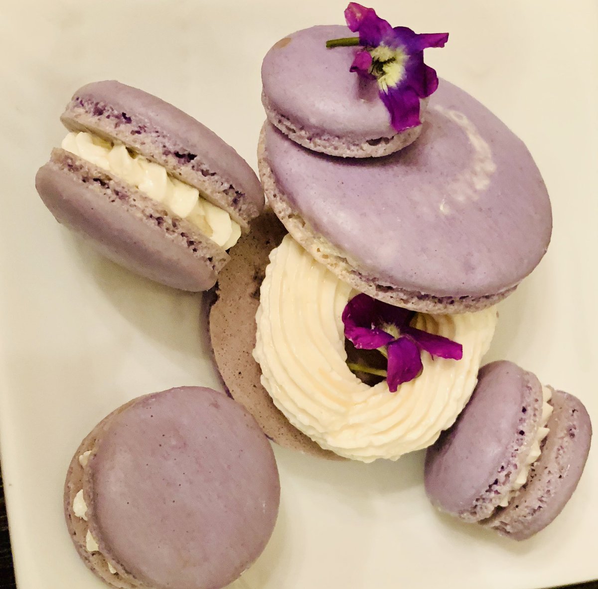 cisa_cisah's tweet photo. My Purplelicious Macarons with lavender, honey and lemon Italian buttercream decorated with edible wild violets 😋❤️🥰
#macarons #salisuniquedesigns #salisbakeddelights #stayhome #ideas #creativity #lavender #violets #sundayvibes #bake #macaron #minimacarons #30danaradosti https://t.co/BSdfuY0njk