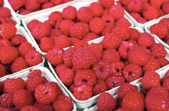ZEGOFoods's tweet photo. Ripe, juicy #raspberries mingle with delicious tart Pacific Northwest apples and organic #chia seeds in our delicious Fruit+Chia Raspberry Bar. https://t.co/lVYqd0f1Pp #allergytested #schoolsafe #poweredbyzego https://t.co/246MgEC7U7