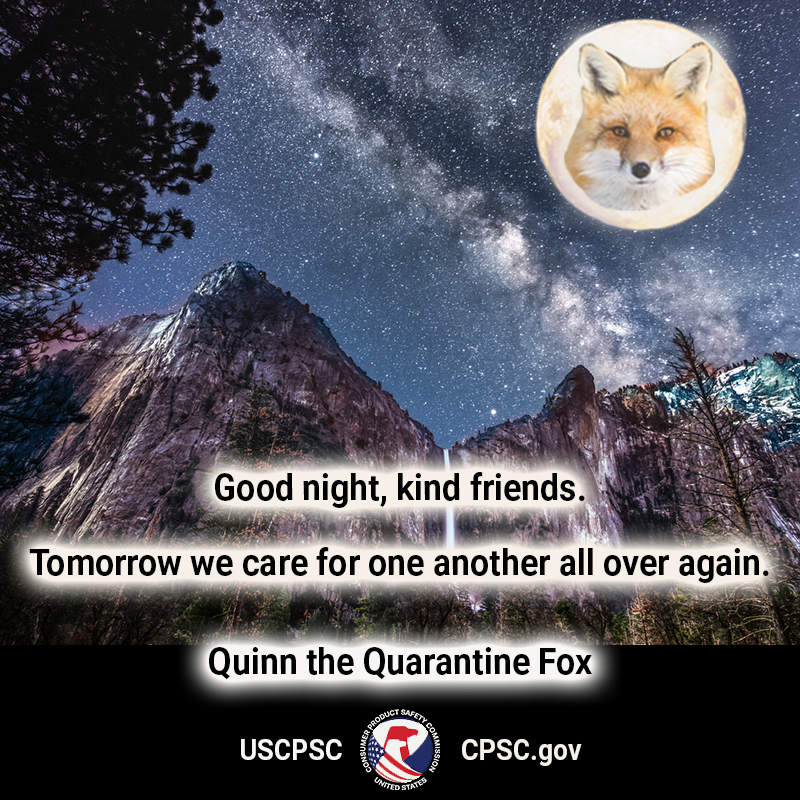 quinn the quarantine fox in the moon over a national park. The text reads: good night kind friends. tomorrow we care for one another all over again - quinn the quarantine fox.