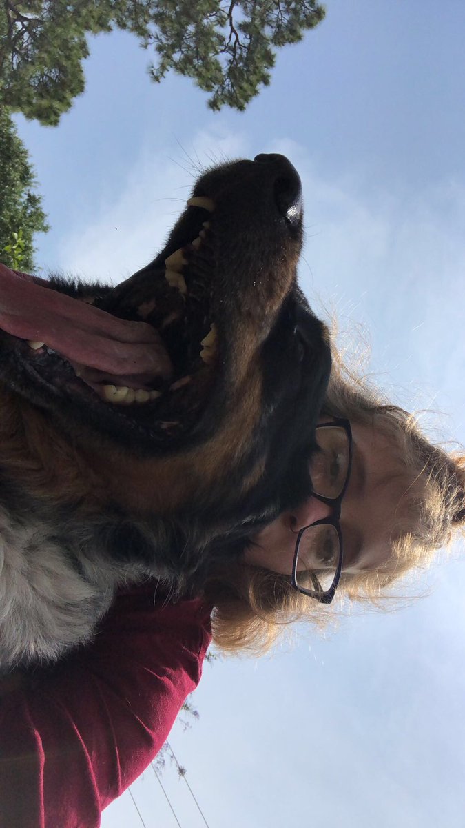 ColdPictures's tweet image. pup