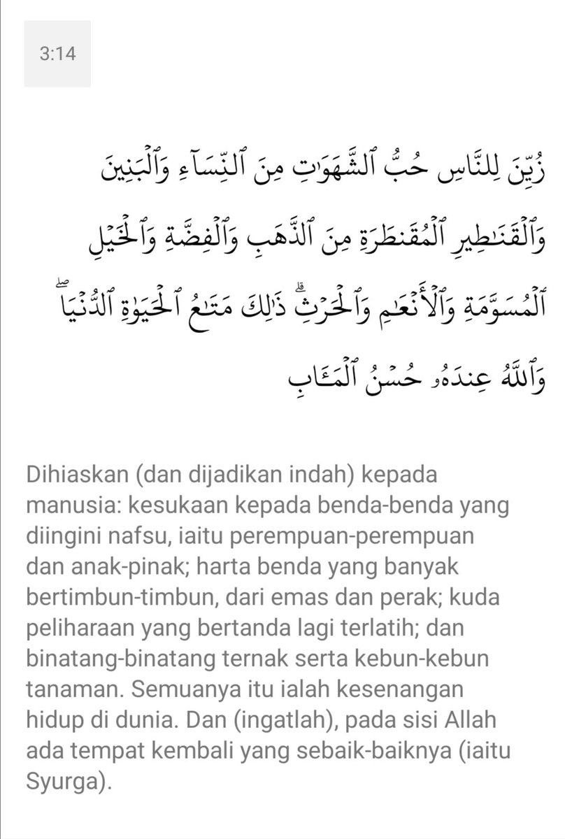 Apa yang seorang lelaki inginkan Allah perincikan dalam Surah Al-Imran ayat 14 ini.Tiada satu ayat dalam Al-Quran Allah perincikan keiinginan seorang perempuan.