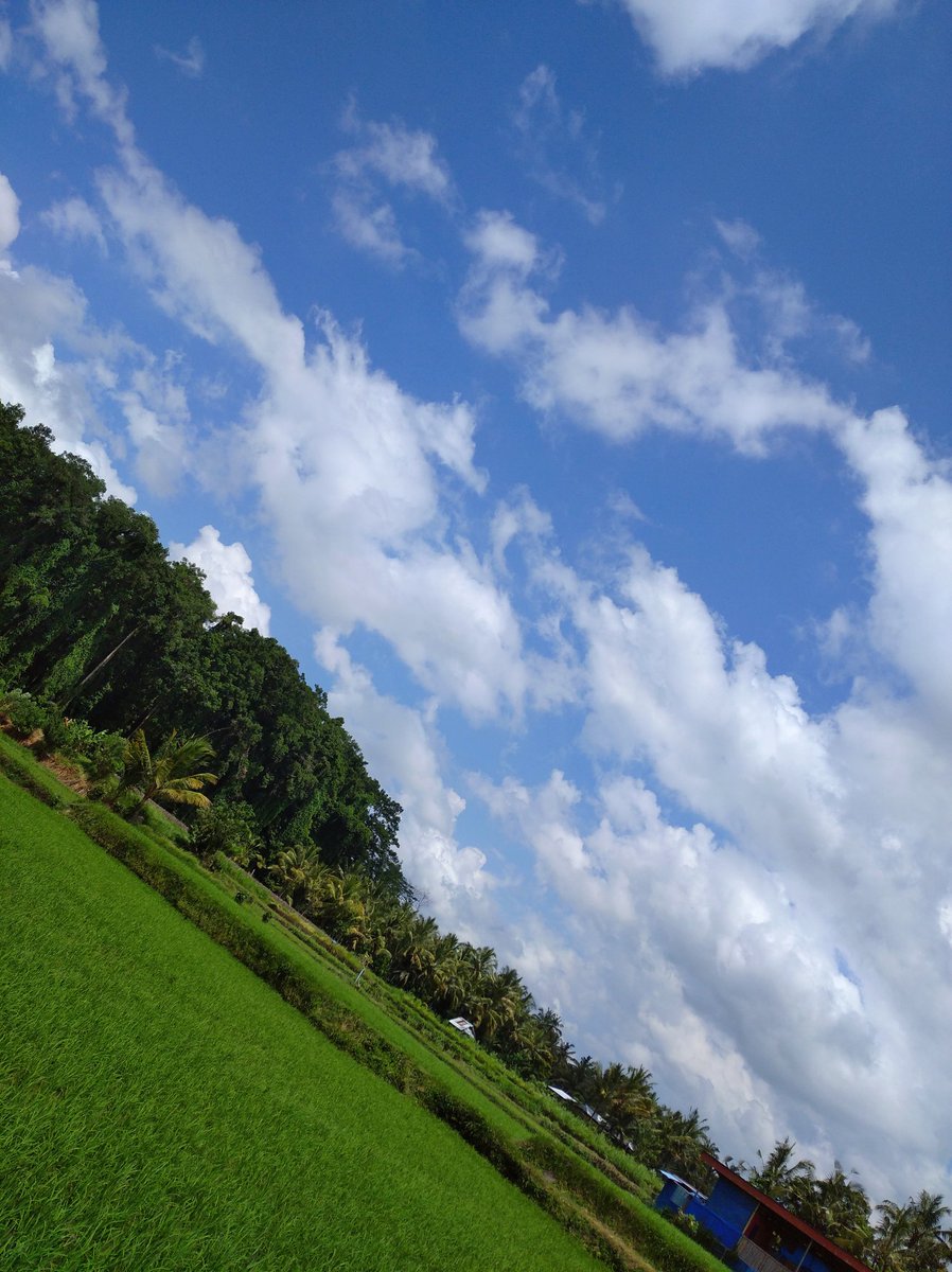 Singaraja ah... 
🌿
☁️
🌤️
📷: Redmi 8
#streetphotography 
#mycapture
#cloudslover
#abiansemal
#bali