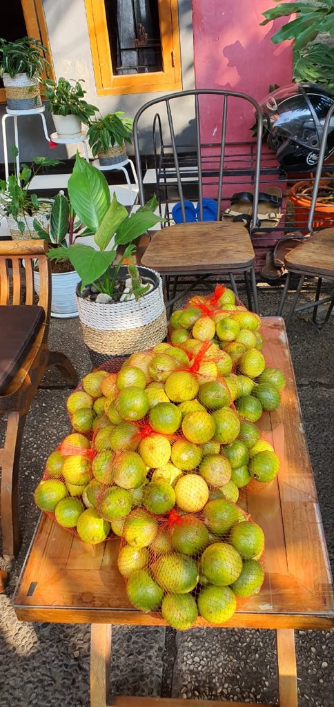 Jeruk lemonnya 17.500/kg . YUK siapa lagi mau order pengiriman hari ini kebetulang barangnya baru datang hari ini . cocok untuk menjaga kesehatan kita , minat WA 08112191171 #jeruklemonmurah