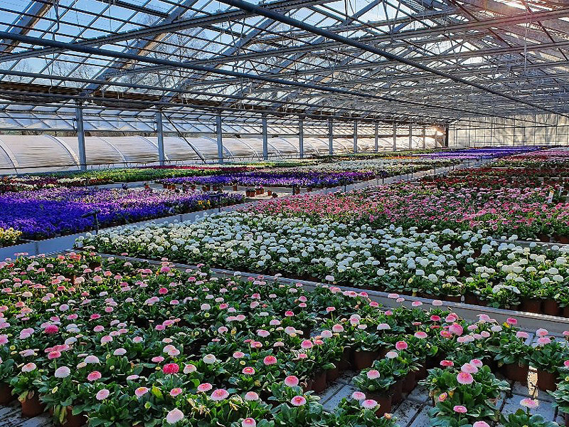 gartench's tweet photo. Das freut #balkongärtnerinnen #gärtner und #blumenfreaks. Nach der Schliessung in Folge des #coronavirus öffnen heute die #Gärtnereien und #Gartencenter wieder.  Allen eine erfolgreiche #Gartensaison :-)

Bild: JardinSuisse

https://t.co/fCfIe8JB6C https://t.co/cmkXJJLg0U