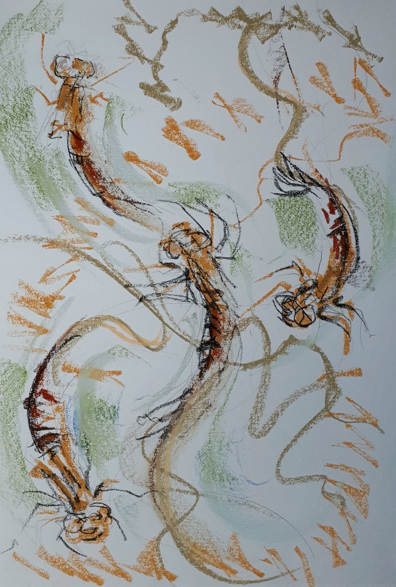 Rapid swishy pond swimming & scuttling underwater waggle walking. 
Which bit bends where? & what are those legs doing? Even more intense staring trying to work it out.#damselflynymph  #largereddamselfly #drawing #fastdrawing #movement #pondlife #gardenpond #art #ArtistOnTwitter