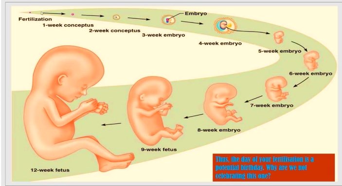 Also dramatic environmental change! Do you KNOW which birth you are now?When Your biological parents create you...It is YOUR first birth... You then spend  9 MOONS inside your Mother!  @LandNoli  @Muntu11055393  @ZwaiBala  @agabaalbert3  @somadodafikeni  @unorthodo  @mommakeish