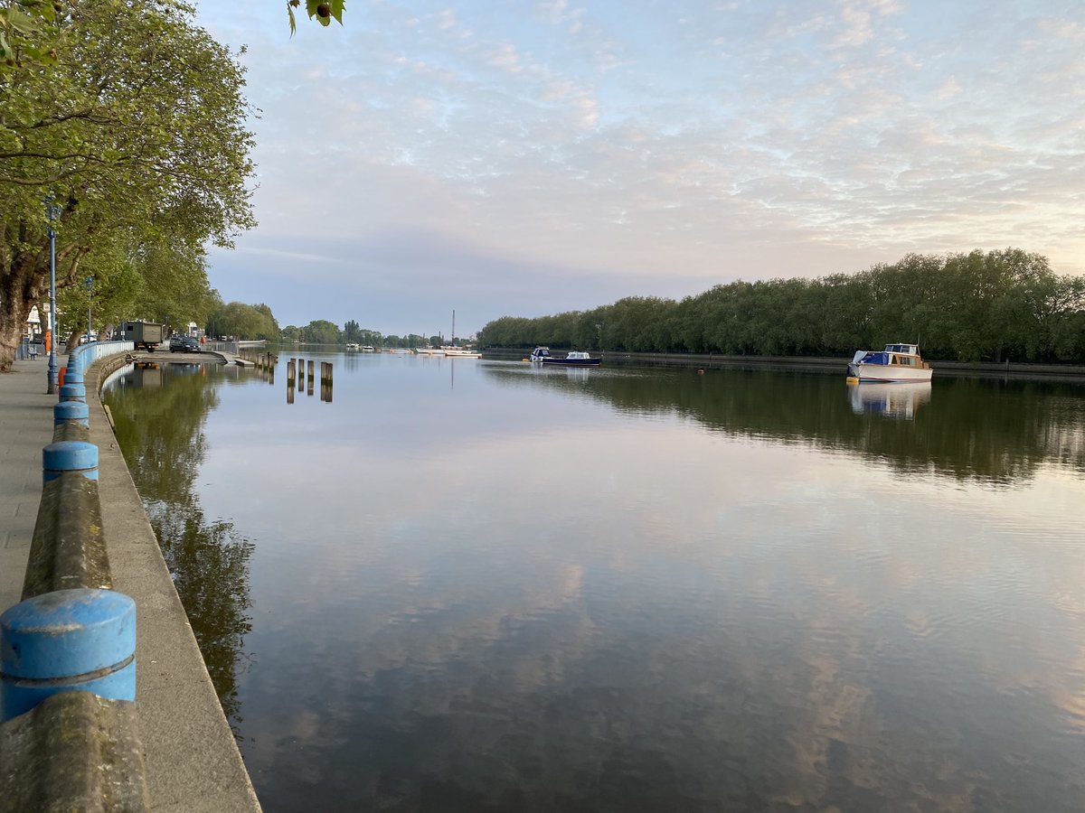 SarahJGP's tweet image. #sparrowfart #viewfrom #putney #reach #towpathexercise
