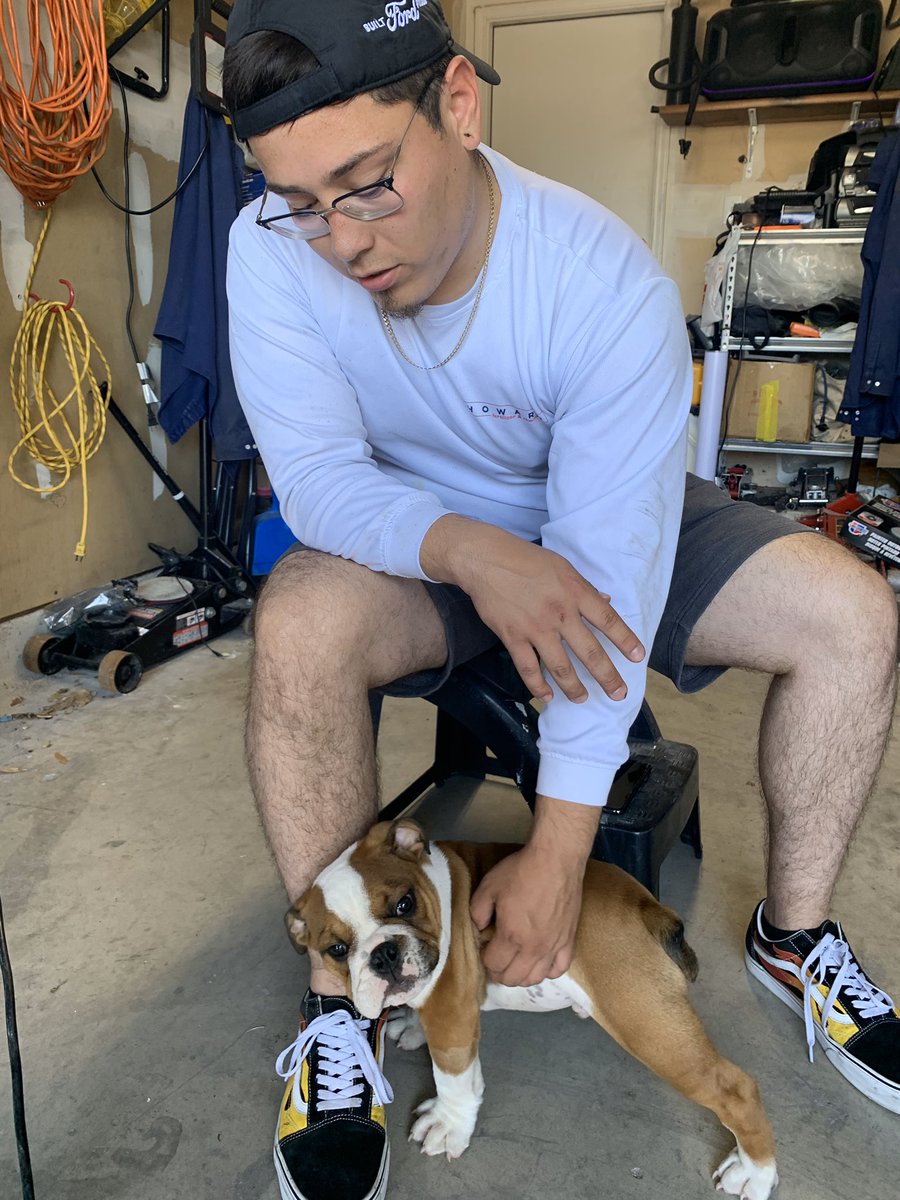 sacredamor's tweet photo. @4valveant english bulldog π©π
#DogWhisperer #Doglover #Dogsloveme Naaaa π€£ https://t.co/zuVbcE3ZwN