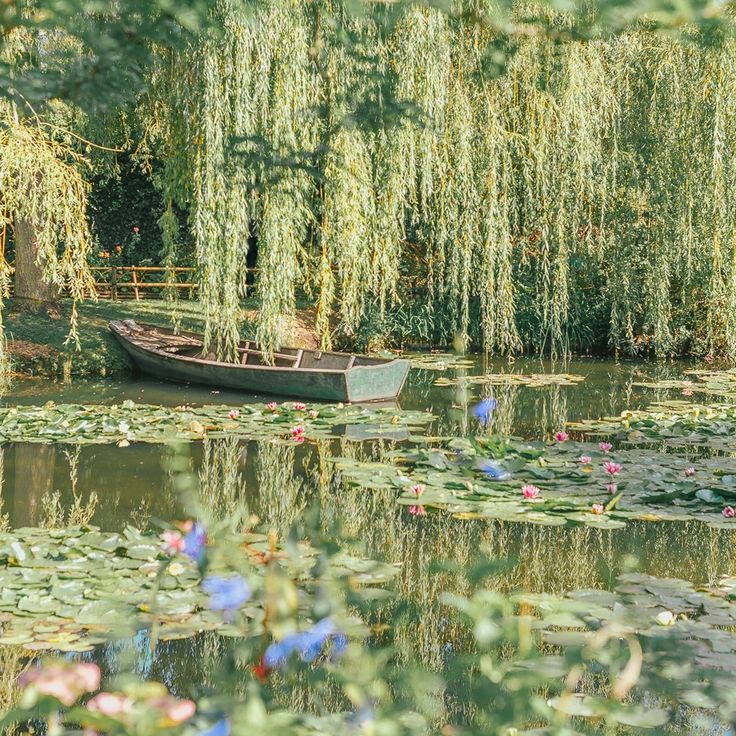 demeuelmeester's tweet photo. claude monet's garden // giverny, france https://t.co/l181uoJhhj