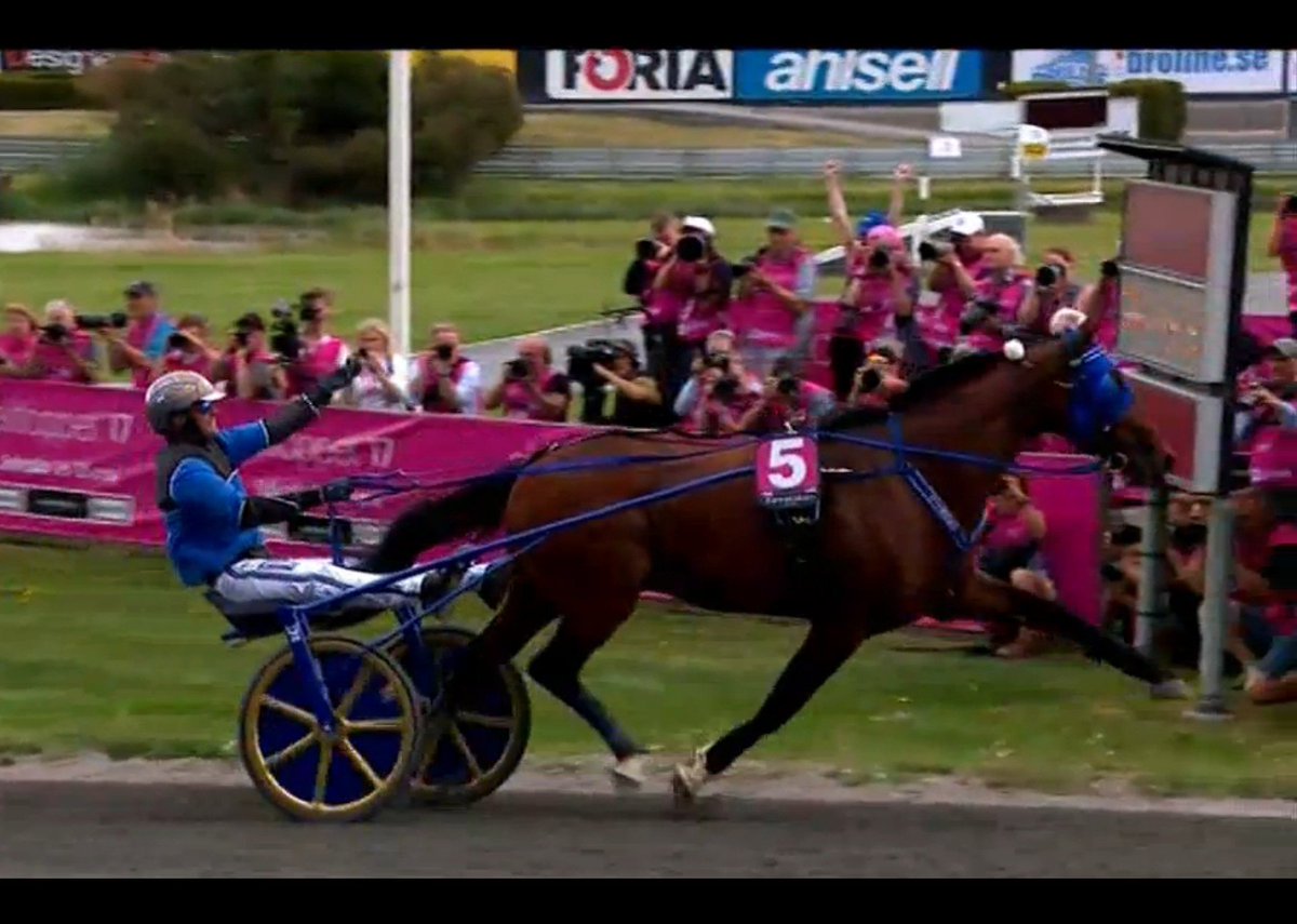 Today Timoko becomes 13 years Vive Le Roi 💙💛 🎉🎈🥂