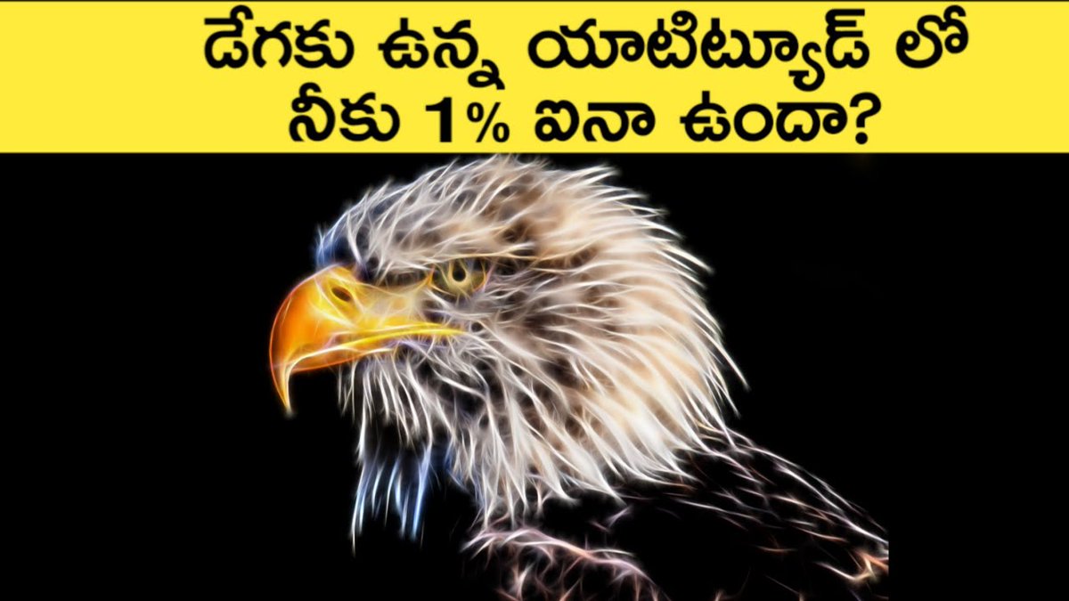 news6g's tweet photo. https://t.co/2lws9dYTfc

Life Lessons To Learn From Eagle In Telugu | Inspirational Video In Telugu | News6G

#eagle #garuda #eaglehistory https://t.co/mxWeGSLXpq