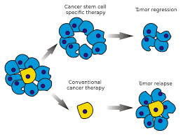 alliedmeet's tweet photo. Session on Cancer Stem Cells

Submit your research proposal at https://t.co/A9wIXzu7ui

#cancertherapy #cancer #COVID19 #cancerconference #cancercongress #oncology #cancerscience #coronavirus

@CancerStemCell @cancerscnews @StemCellsAus @StemCellsTM @Stemcellspanama @stemcells21 https://t.co/Ci5zY5YdiY