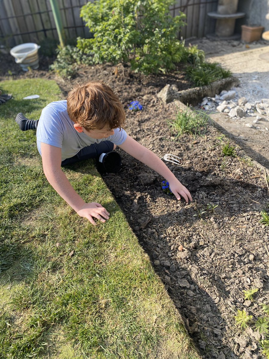ChildminderGill's tweet photo. @Carolside_PS #CPSHomeLearning life skills being learnt. He’s particularly proud of his bedroom wall. Mum hopes the tomato plants grow and the plants flourish so she can enjoy the garden https://t.co/BaYCOgrJRm