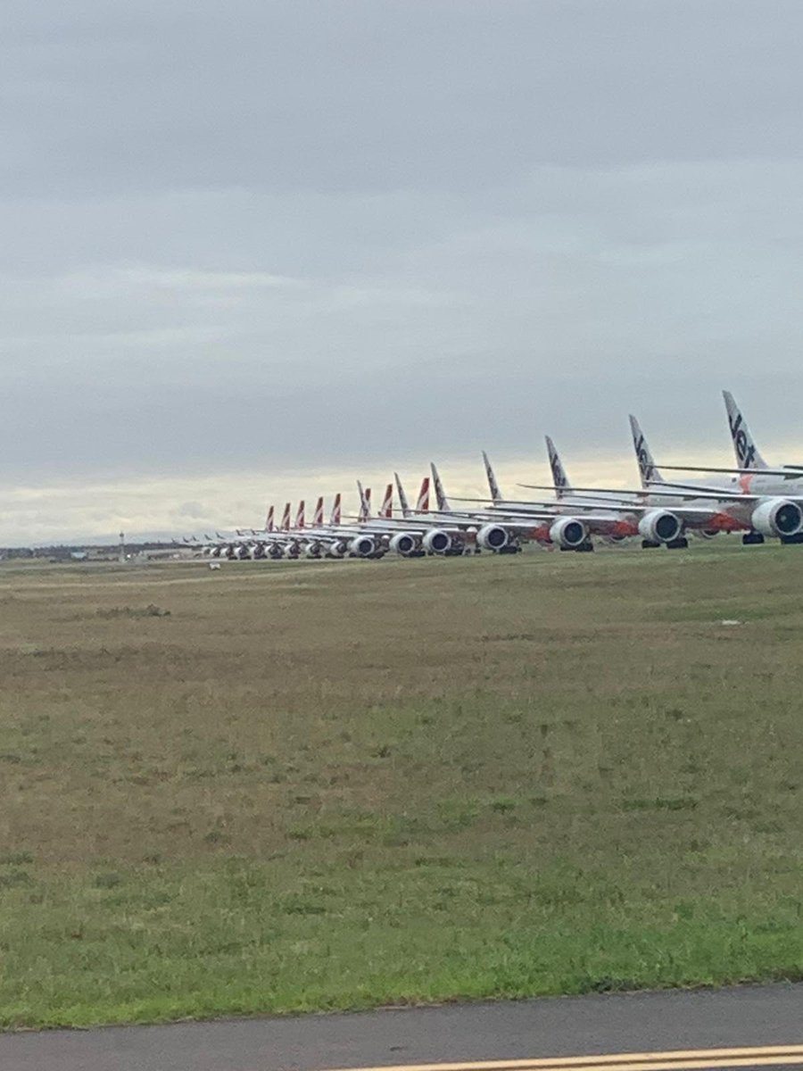 MedevacFlights's tweet photo. An unusual sight as our team touches down in Avalon on a mission to repatriate a patient from South East Asia. https://t.co/12Df4IfYkX