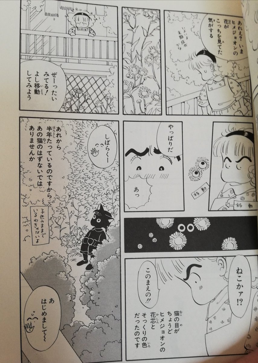 じろりろぽん いきる ハルジオンといえば大島弓子さんがその中に猫の目を見つけた花 と思ったけれど それはヒメジョオンでしたね 点滴堂さんでお迎えした サバの秋の夜長 より