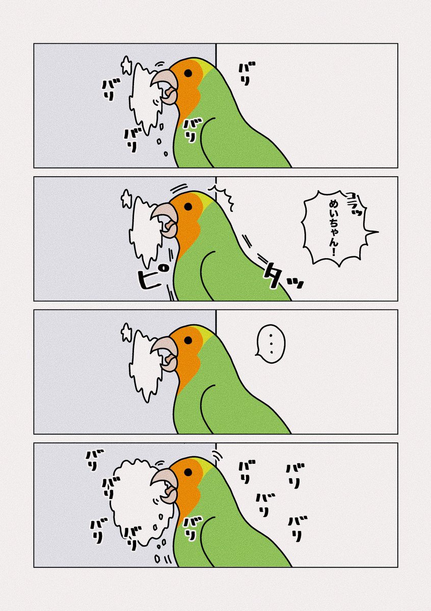 ちゃんあず 先月家に来たインコが何度やめさせようとしても壁紙をかじることを生きがいにしててこのままだと隣の部屋と繋がる穴ができる T Co 9tzuwu6ymx Twitter