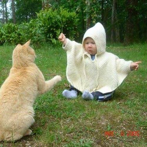 babysecretsmx's tweet photo. Fieles amigos. ¡Feliz lunes! 🐶 🐱 #felizlunes #quedateencasa  #cuarentena #bebes #baby #mamas #mamaprimeriza #papa #papaprimerizo #padresprimerizos #mascotas #cachorros #perros #gatos #parenthood #parents… https://t.co/ng3NpZbqob… https://t.co/q2gOJGYCZ3