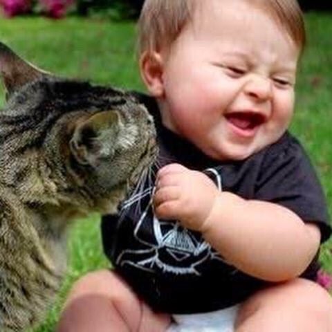 babysecretsmx's tweet photo. Fieles amigos. ¡Feliz lunes! 🐶 🐱 #felizlunes #quedateencasa  #cuarentena #bebes #baby #mamas #mamaprimeriza #papa #papaprimerizo #padresprimerizos #mascotas #cachorros #perros #gatos #parenthood #parents… https://t.co/ng3NpZbqob… https://t.co/q2gOJGYCZ3