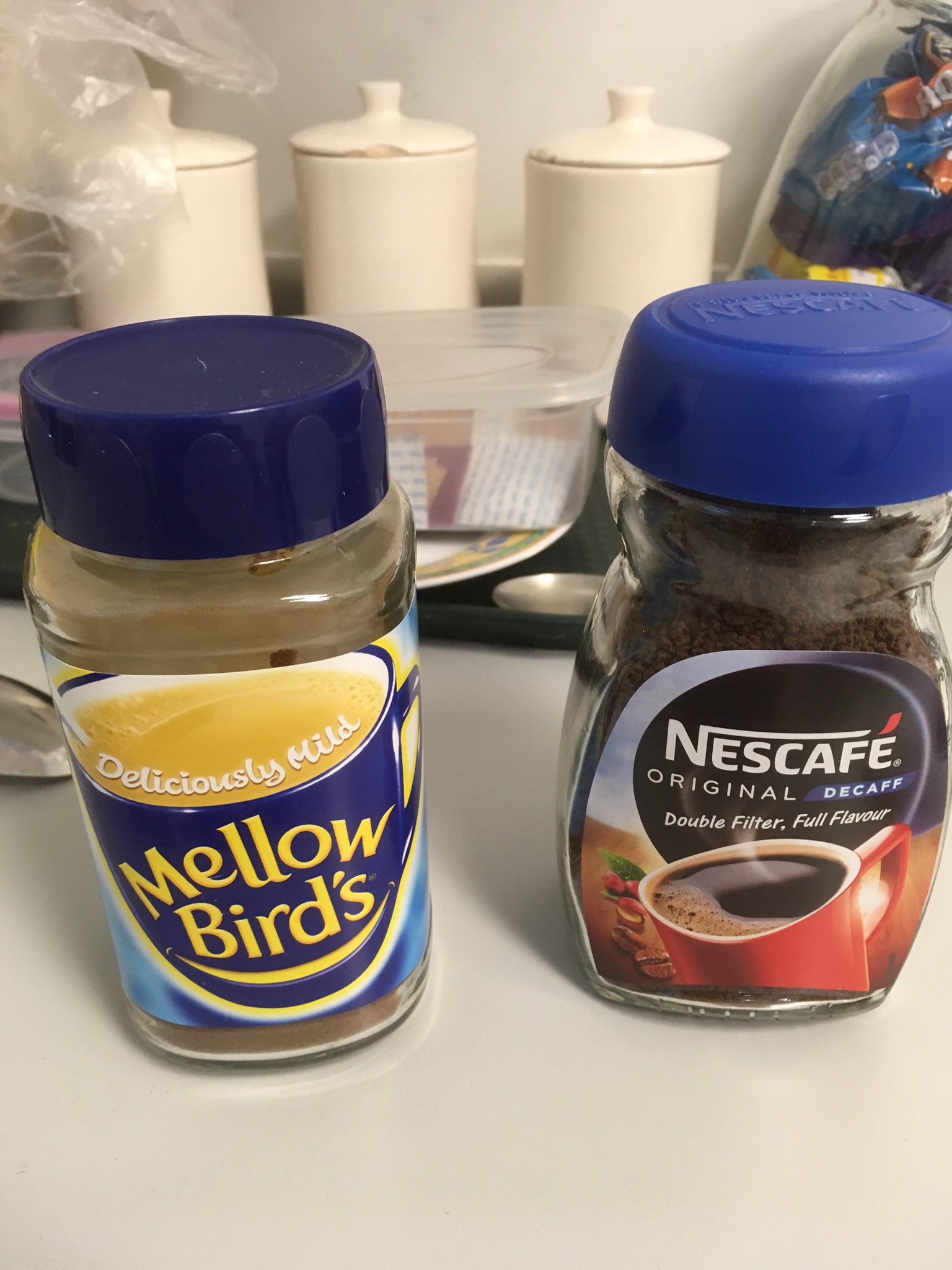 Mellow 2024 birds coffee