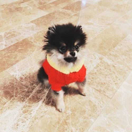 Kim Yeontan appreciation post cause y not?