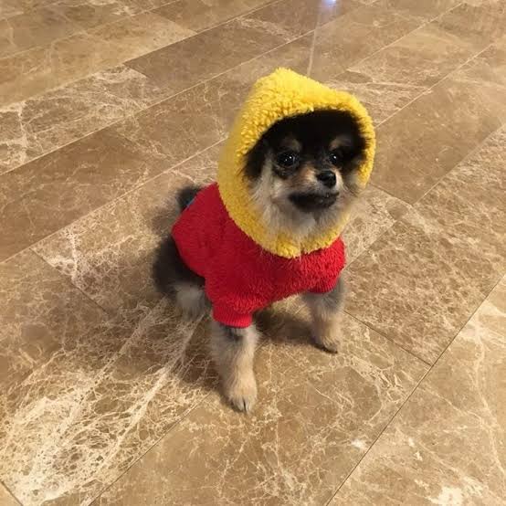 Kim Yeontan appreciation post cause y not?