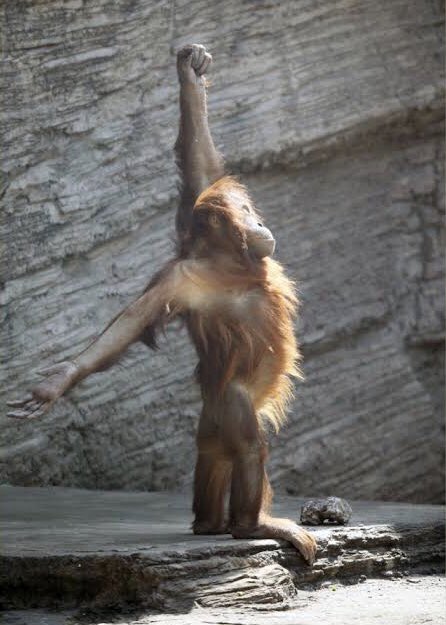 4 günlük sokağa çıkma yasağından sonra GÜNAYDIN