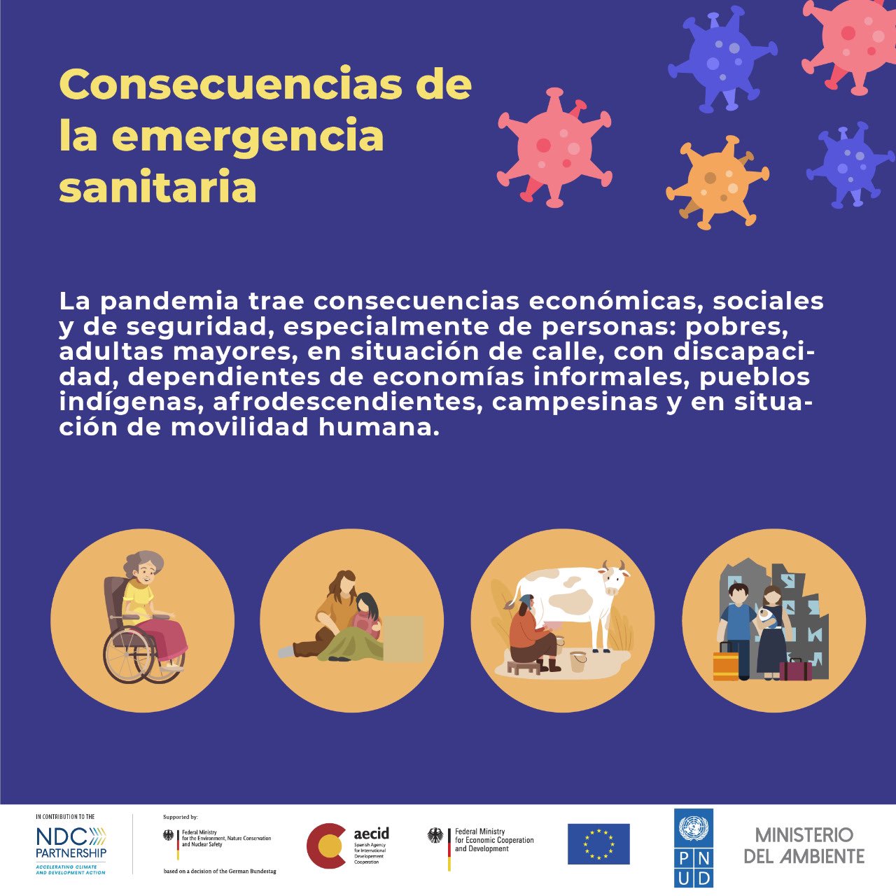 PNUD Ecuador on Twitter "La emergencia sanitaria no afecta a todas las