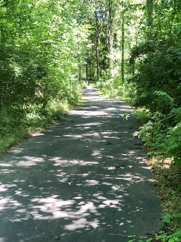OrigamiRehab's tweet photo. Here is your beginning of the week reminder to breathe. Close your eyes and picture yourself on our scenic campus trails. Imagine the sun shining on your face and the breeze blowing by you. Picture yourself here whenever you need a moment this week. 🌲🍃#Mindful #Nature https://t.co/j3uItqvW4Q