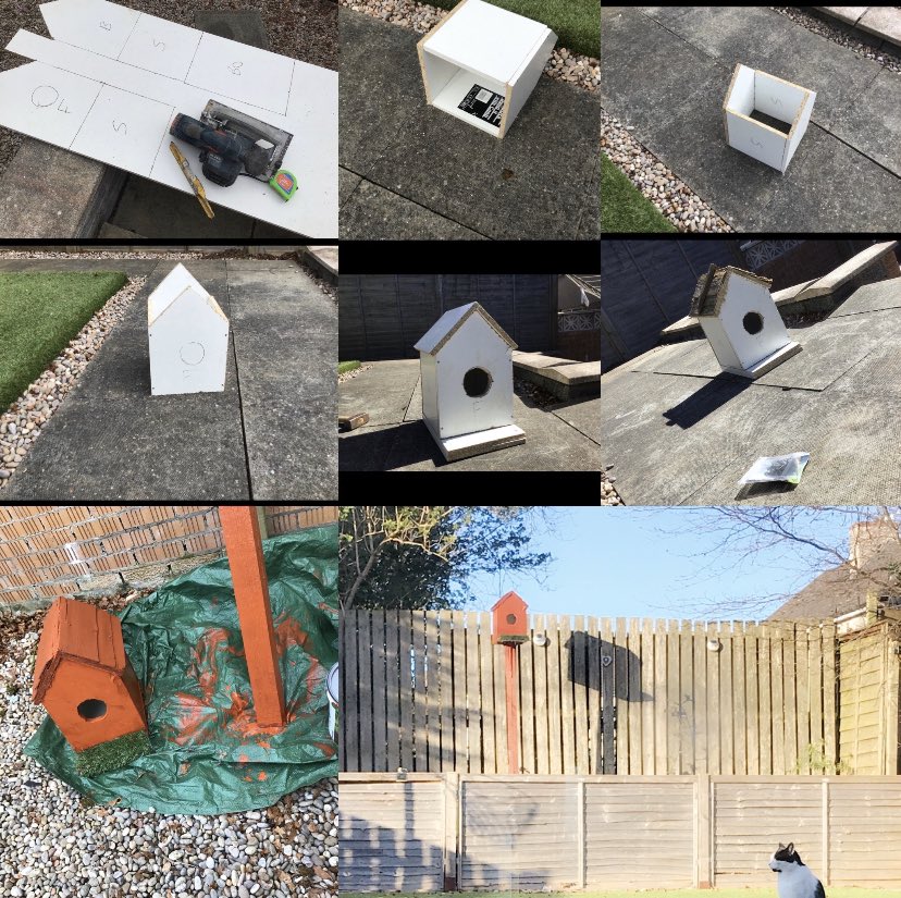 UGS_DesignTech's tweet photo. One of our S2 pupils, Jay, putting his practical skills to good use! It looks great Jay! 🛠🦉 #realdiy #birdwatching @UGSchool https://t.co/55P2KNRIrn