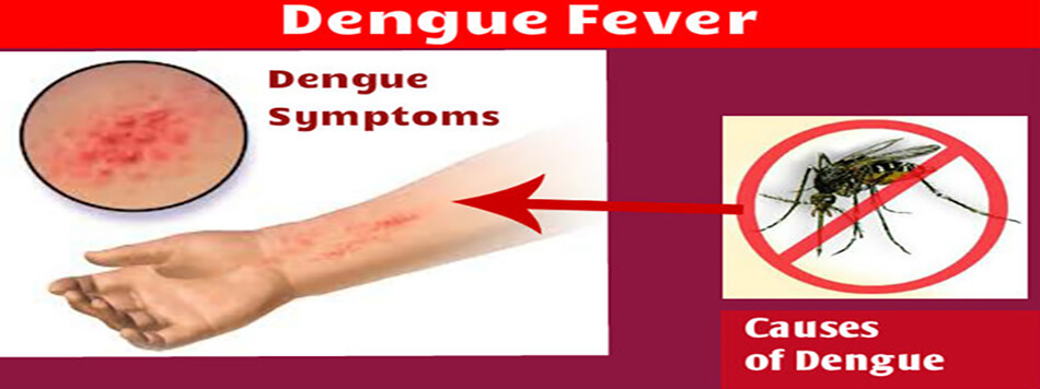 amandeephospit1's tweet photo. Read about,”Dengue prevention and remedies” provided by Amandeep hospital, as caused by one of the viruses spread by the bite of mosquitoes into human body. https://t.co/DUjtyZJSMp
#Dengue #DengueFever #DenguePrevention #DengueRemedies #AmandeepHospital https://t.co/vewnr59M7e