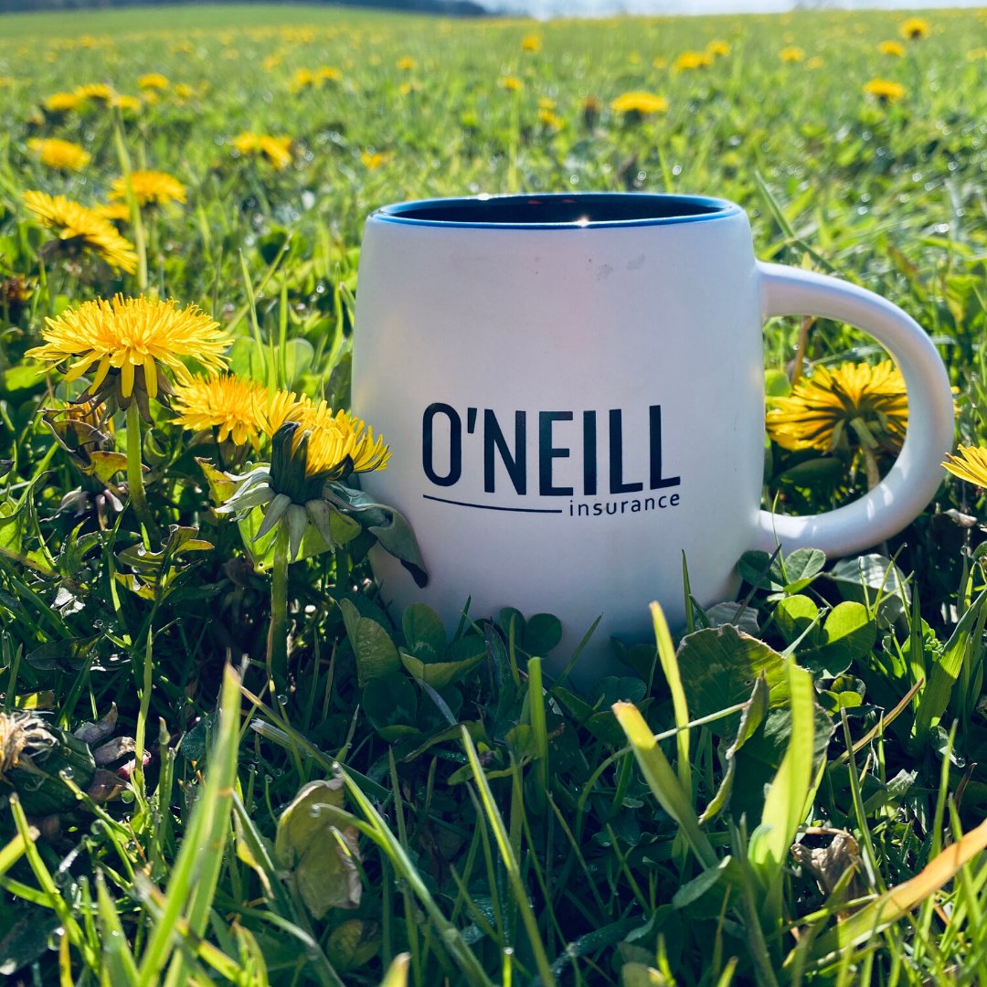 Research (and experience) tells us, there's a ton of benefits:⠀
⠀
SUNSHINE ⁣☀⠀
⠀
The forecast is calling for SUN today. ⁣⠀
⠀
And it's known to help our mood, productivity, physical and mental health.⠀
⠀
So get out there and soak in the Vitamin D, friends! ⠀