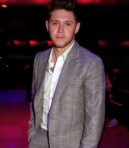 fuck it. niall horan as nick jonas a thread: