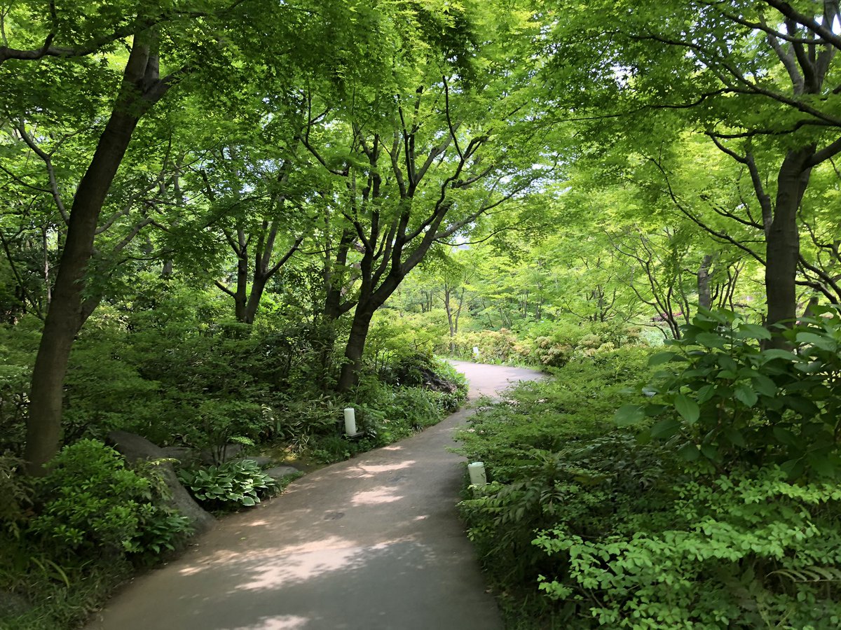 癒しの景色 癒しの景色