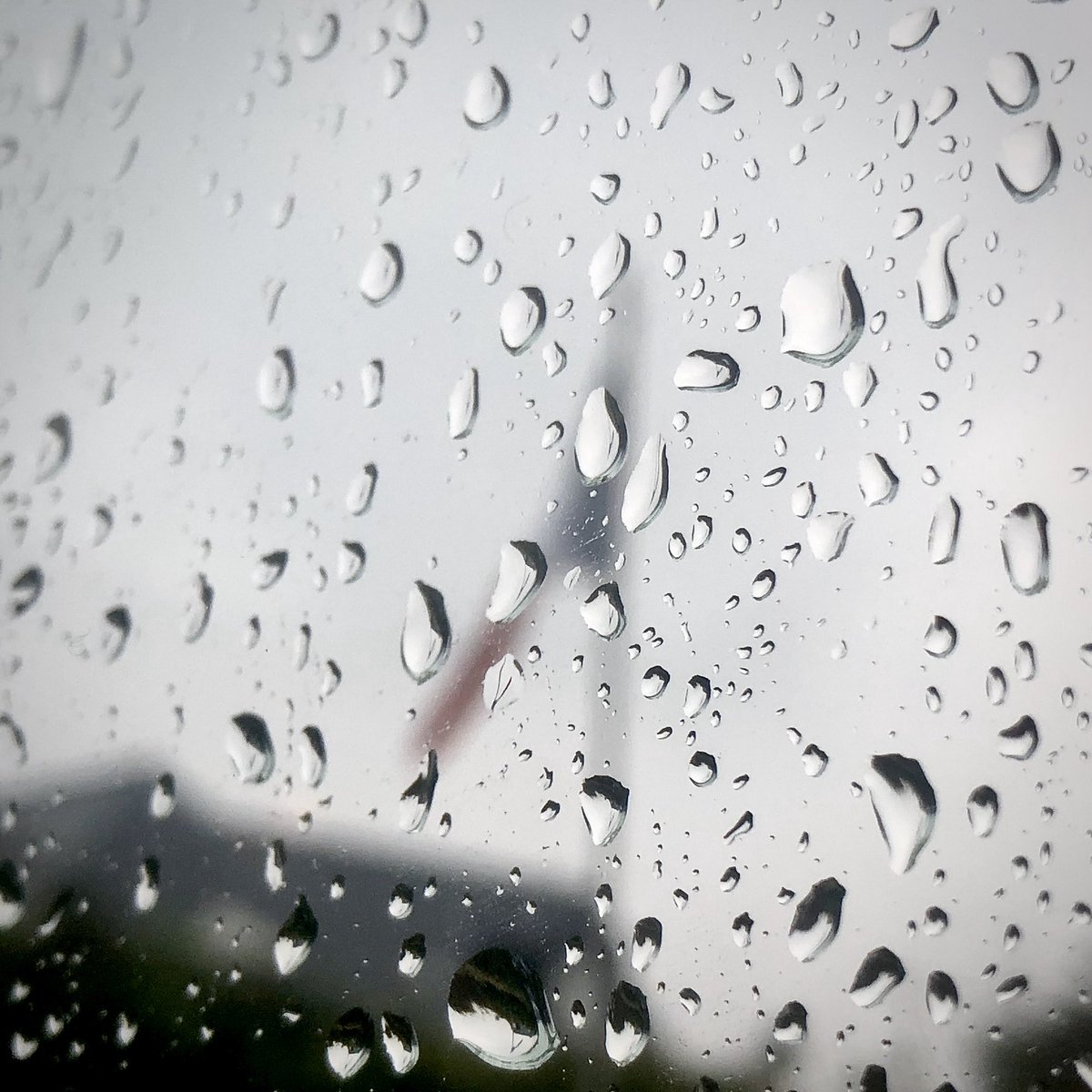 Le journal d’un confinaute #jour42 #pluie #ConfinementJour42 #confinement #COVID19fr