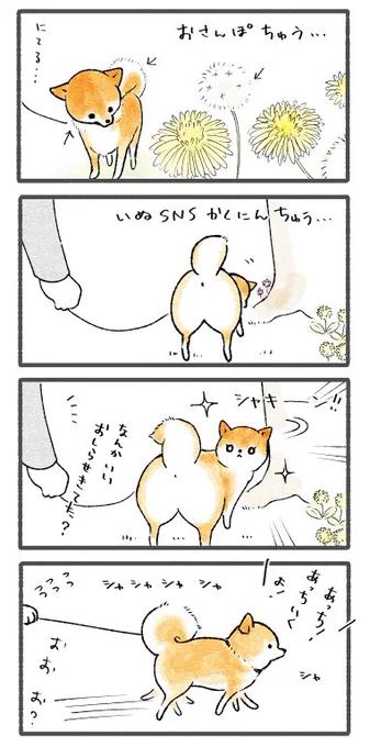 夢のシーバーイーツ 