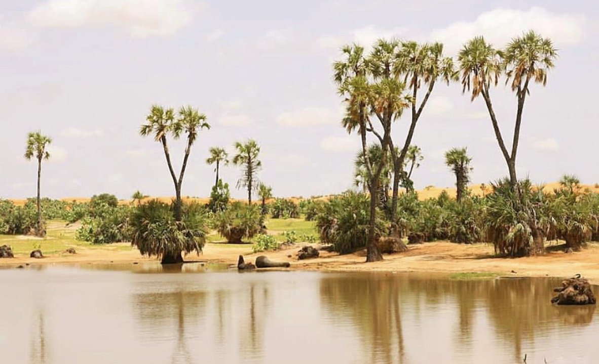 Tulo-Tulo Oasis, YobeThis desert oasis is located in the Yusufari desert in Yobe State and is one of Nigeria’s undiscovered gems. It is home to the Kanuri speaking people and has historically served as a stop camel caravans carrying Potash which is also known as black salt.