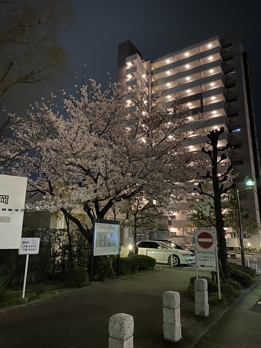 cryptocry3's tweet image. Sakura has already fallen.
Thank you, I am very moved !