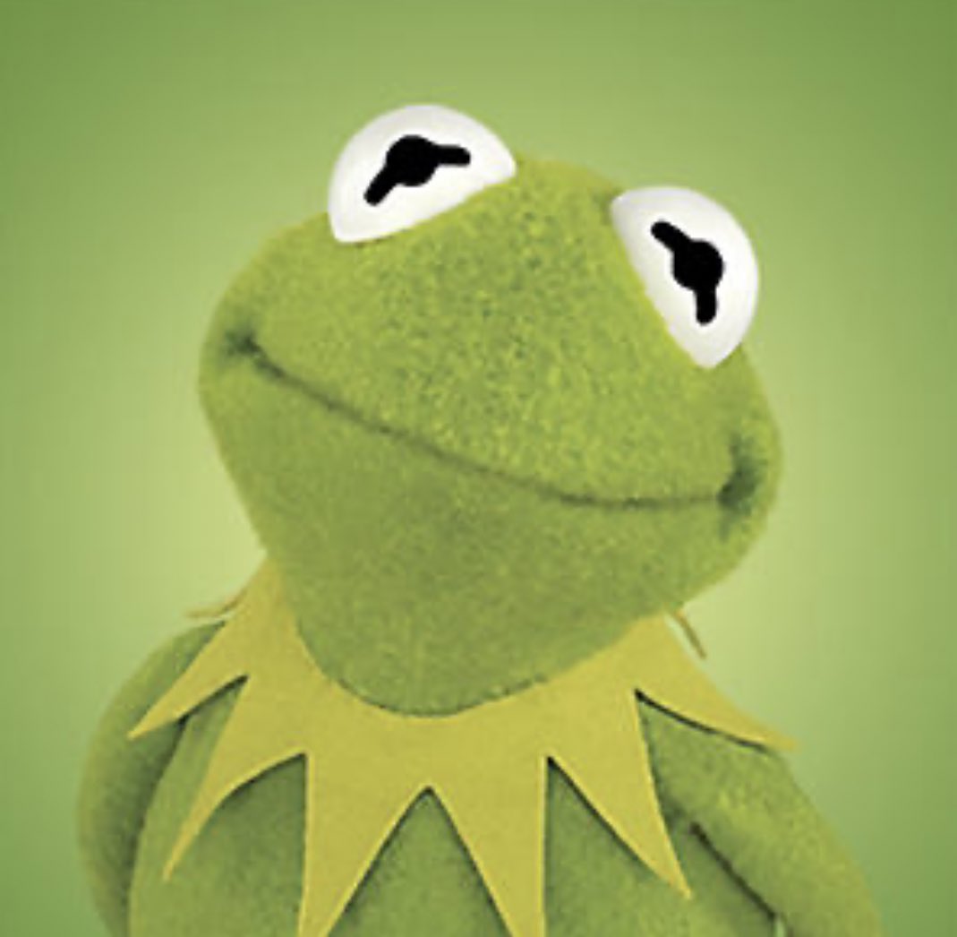 Zayn as Muppet