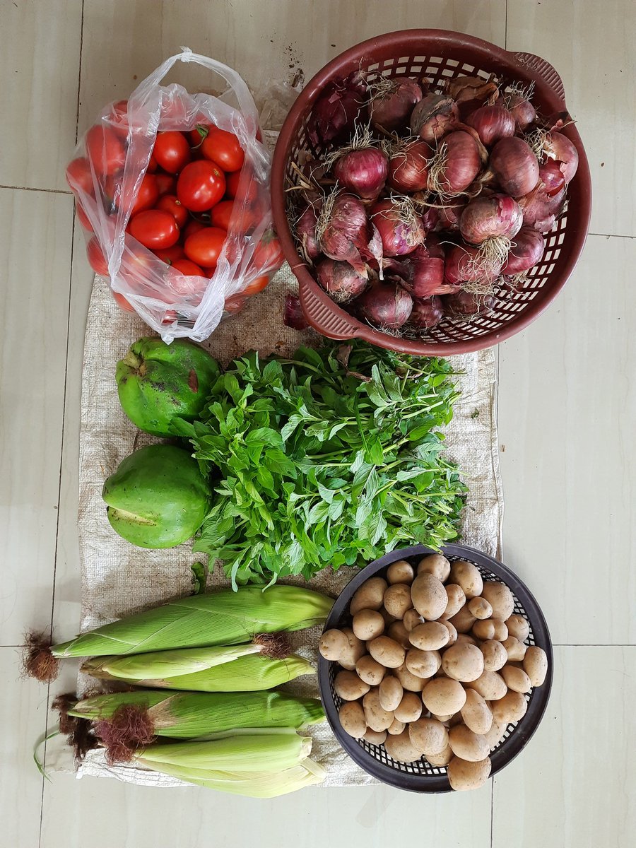 Farm fresh veggies.. 😍😍.. can you identify all the veggies ??