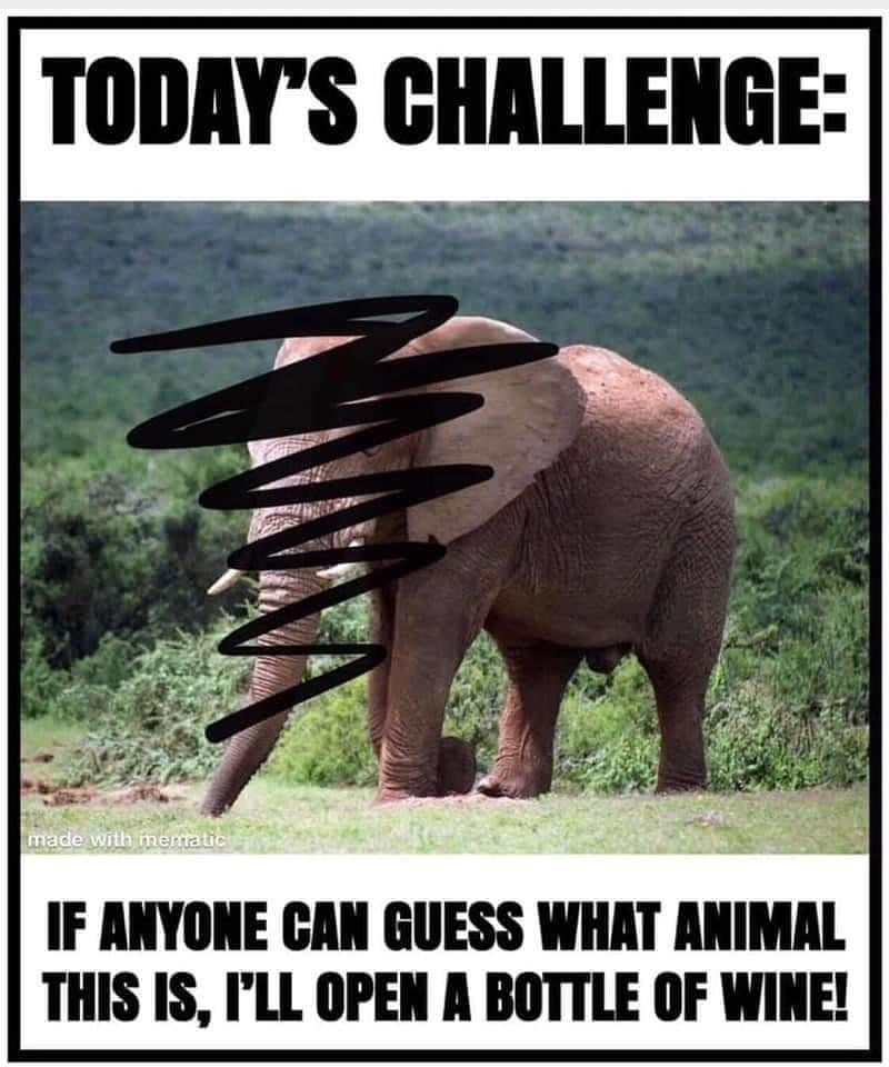 mttolson's tweet image. 