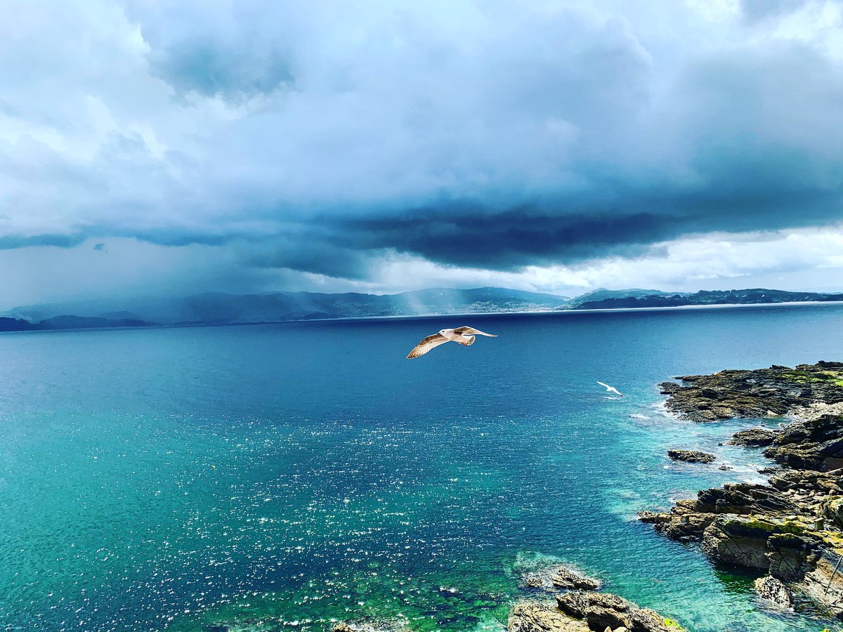 PattyPortonovo's tweet photo. #Portonovo #DesdeMiVentana #YoMeQuedoEnCasa #YaQuedaMenos #UnDíaMenosEsUnDíaMás #OlaOTempo 
Porque después de la tormenta siempre viene la calma 💪🏼 https://t.co/iuwAYzthLe