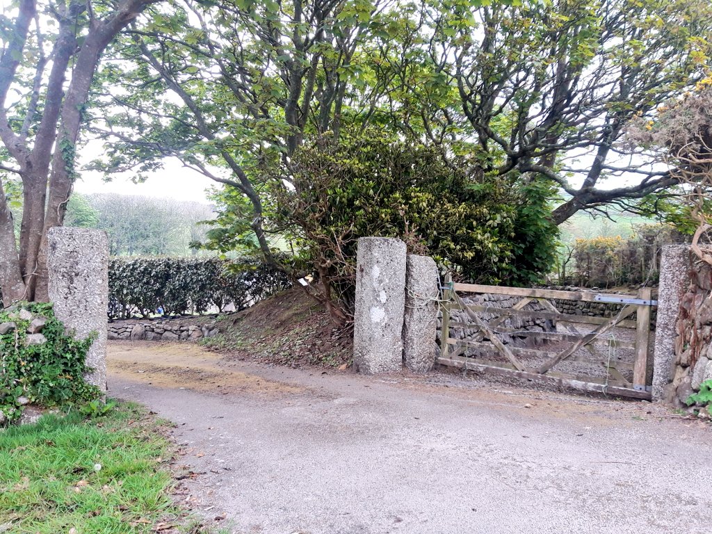 gnome_alice's tweet photo. Dull #MorningWalk , looking across to #Kenython and #Tregeseal Hill where my mother lived 80-odd years ago
Love that the hedges are multi-coloured now after their yelloew and white periods
THAT'S a stile.
And those are gateposts not to be argued with.
#Lannust
#Kernow
#StJust https://t.co/t1HSgQzJ2R