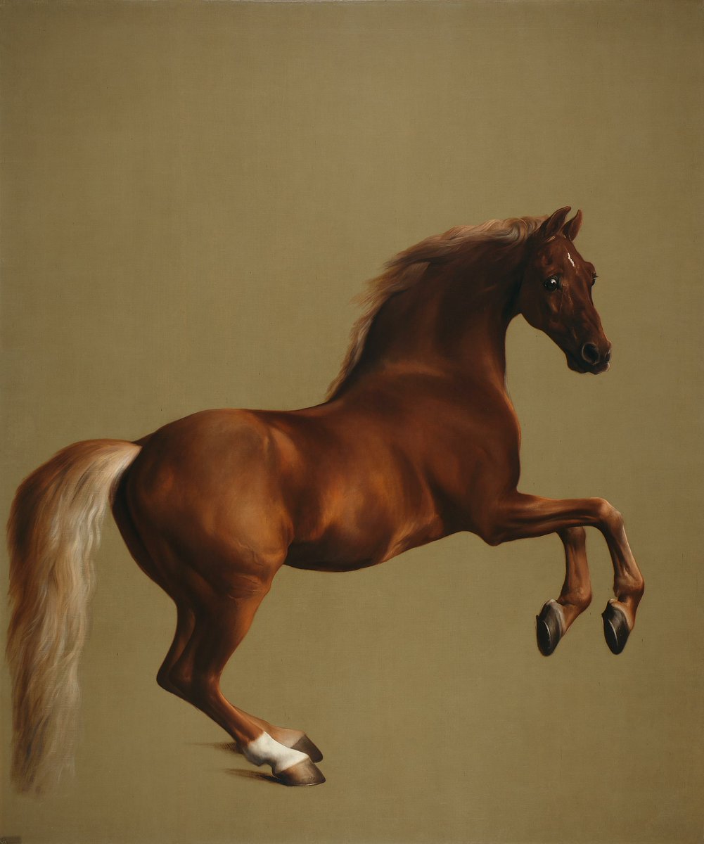 Y is for YAK at the  #lockdownbestiary  @LockdownBestia1.George Stubbs (1724-1806) is best known for painting horses, like this one, Whistlejacket.  #notayak  #HisforHorse  #notsointeresting 1/14