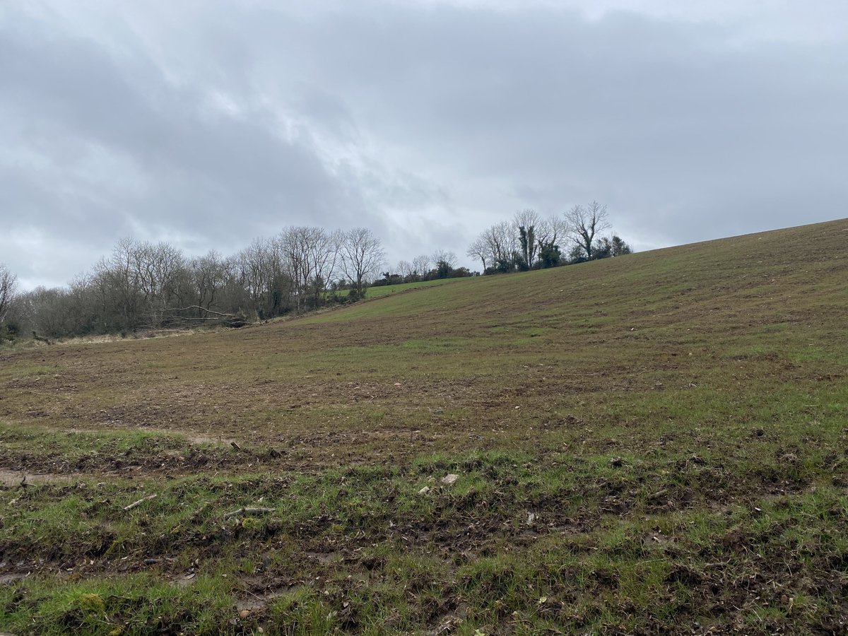 25th March. this field was a bluebell wood when i last visited. dairy farmer started clearing it a few years ago but managed to get him stopped. he then went back and finished the job in 2019. reported to  @ForestServiceNI, don't know outcome yet
