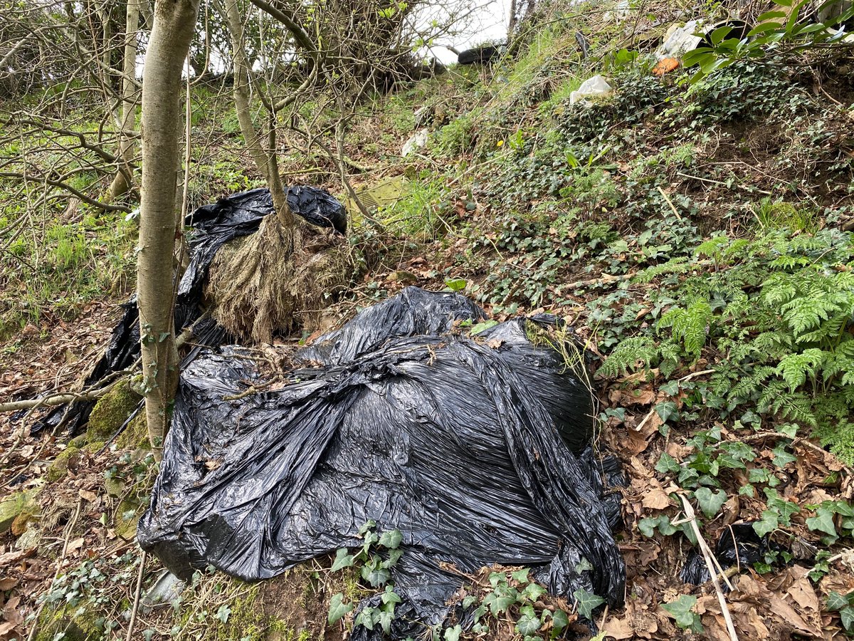 same day. dumping of farm waste into ancient woodland