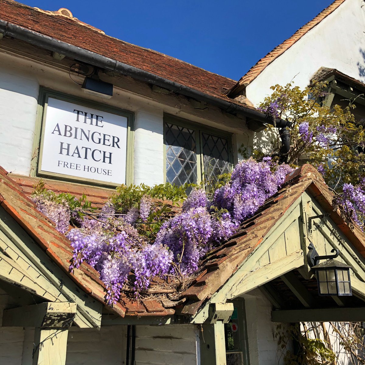 Took this photo yesterday of the Wisteria blooming - we wish you could all come and see it! 💜 #TheAbingerHatch