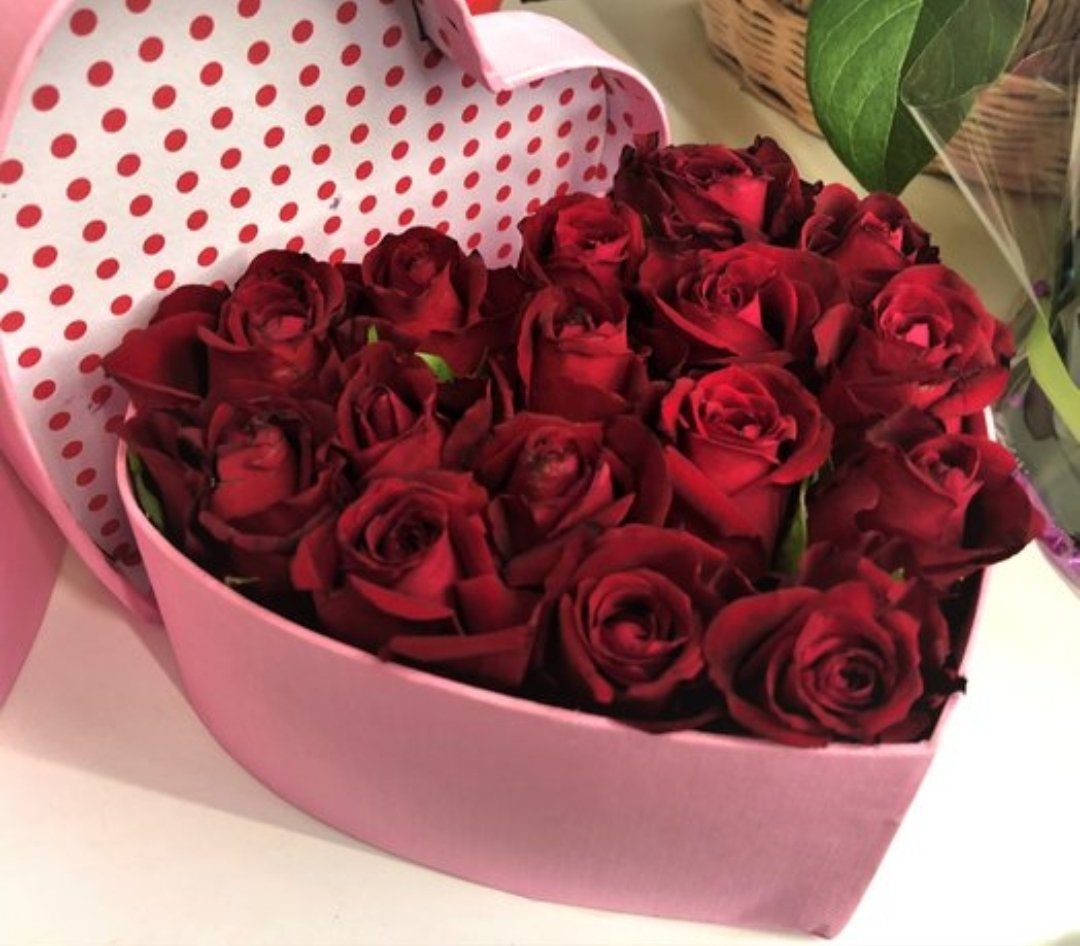 Victor (@strangebrovic) on Twitter photo 