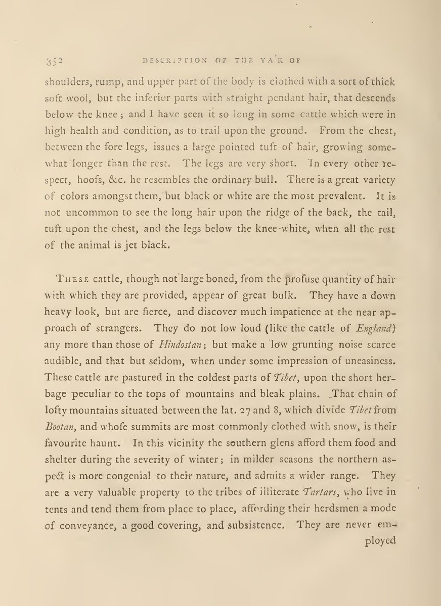 Turner’s excellent description of the yak was published in the fourth volume of Asiatic Researches in 1799, pp. 351-3.  #lockdownbestiary 6/14